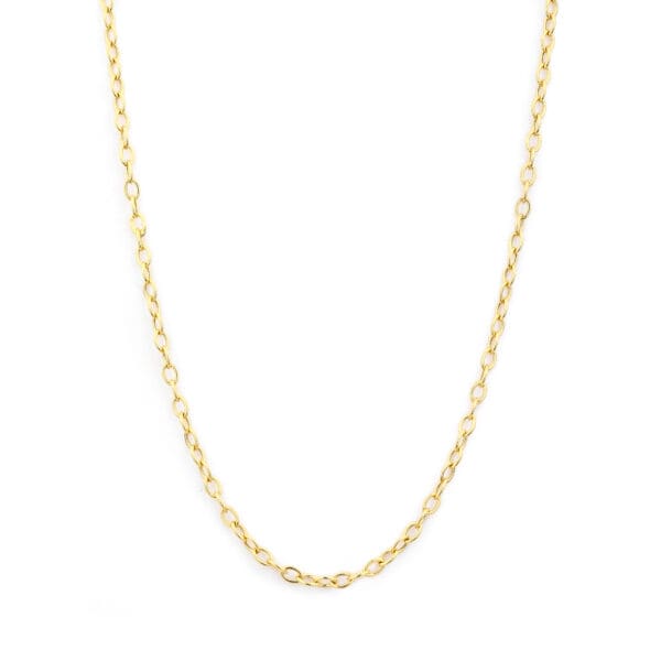 18 Karat Yellow Gold Small Link Chain