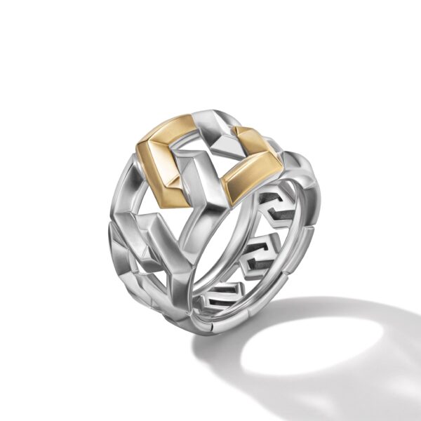 Carlyle Ring in Sterling Silver with 18K Yellow Gold - Image 2