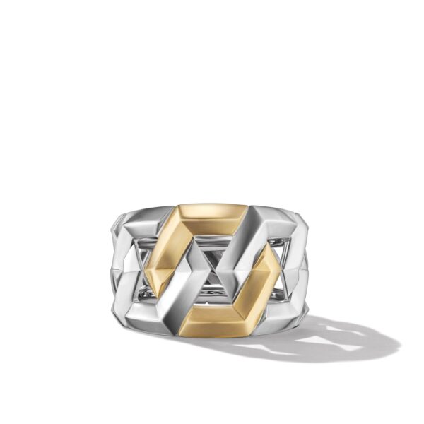 Carlyle Ring in Sterling Silver with 18K Yellow Gold - Image 3