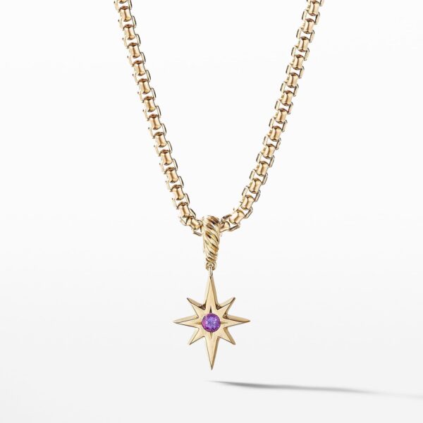 North Star Birthstone Amulet in 18K Yellow Gold with Amethyst