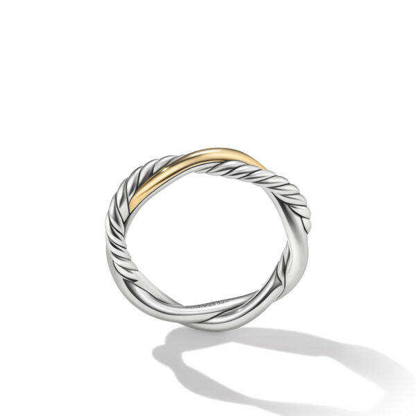 Petite Infinity Band Ring in Sterling Silver with 14K Yellow Gold, 4mm - Image 2