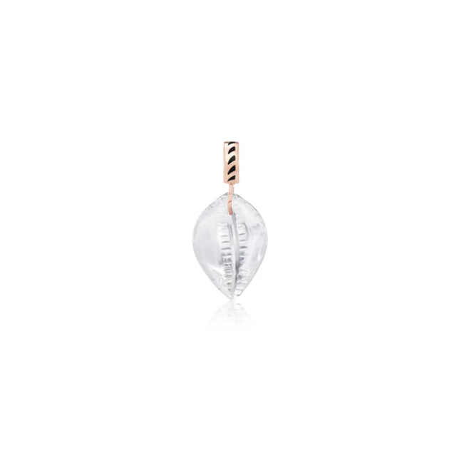 Carved Cowry Crystal Shell