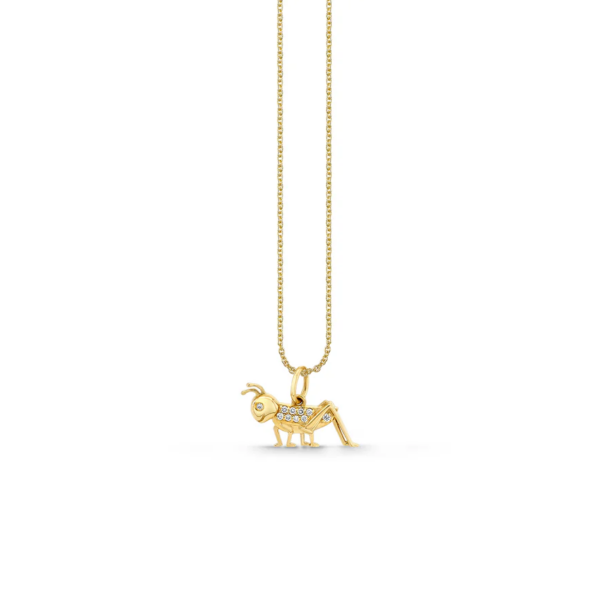 Gold & Diamond Cricket Charm