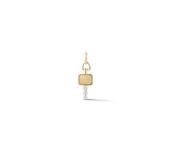 18KYG Mini Catherine Key charm