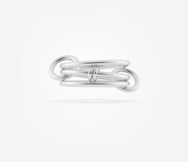 Spinelli Kilcollin's Acacia Silver Ring in Size 8
