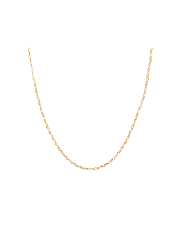Thorn Addiction 18K Yellow Gold Thorn Link Chain 20'