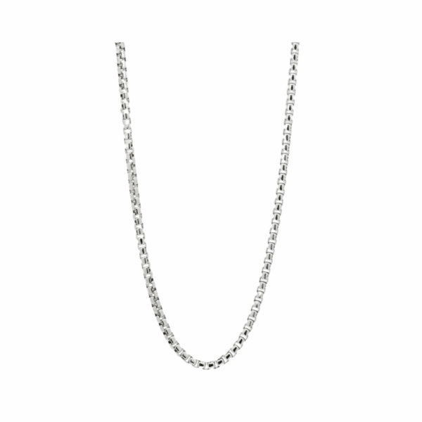 Chains & Cords  20"