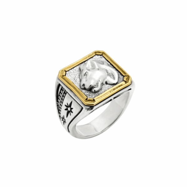 Orion Panther Ring, size 11