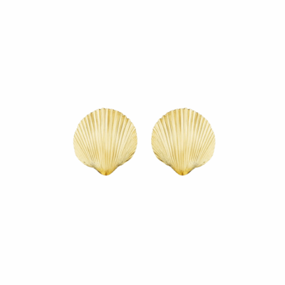 Shell Small Stud Earrings