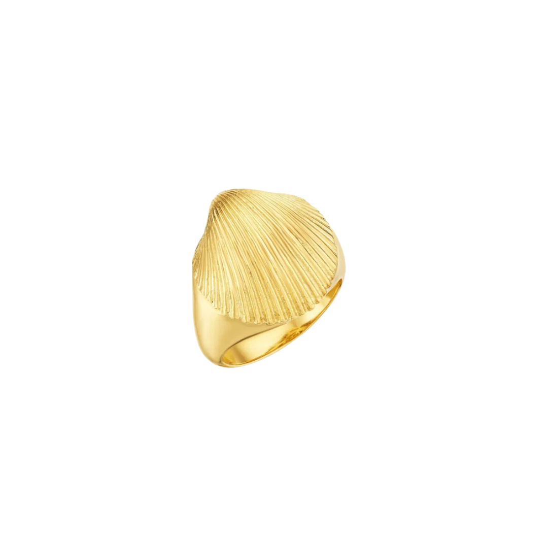 18Y Shell Pinky Ring Size 3.5