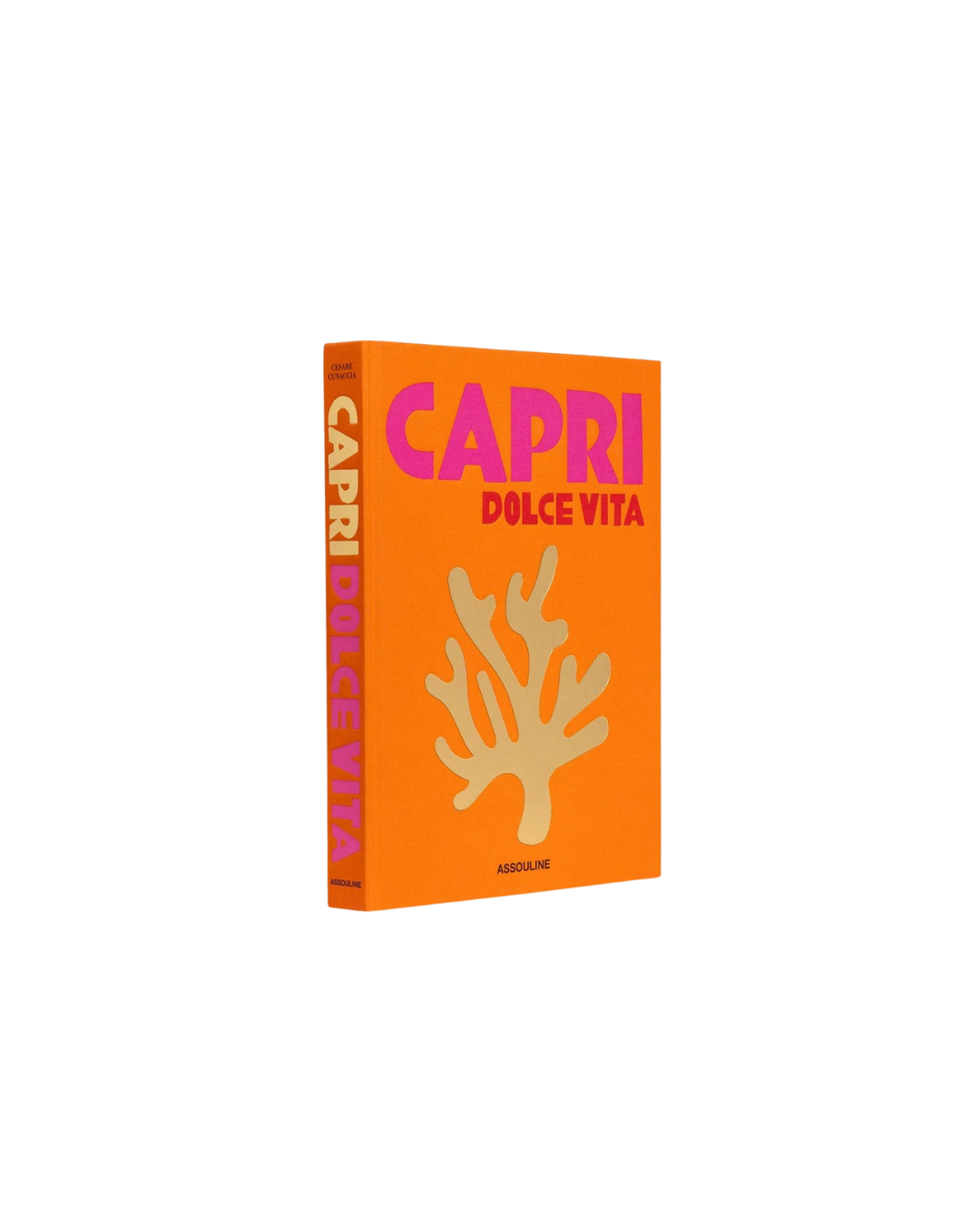Capri Dolce Vita-Book