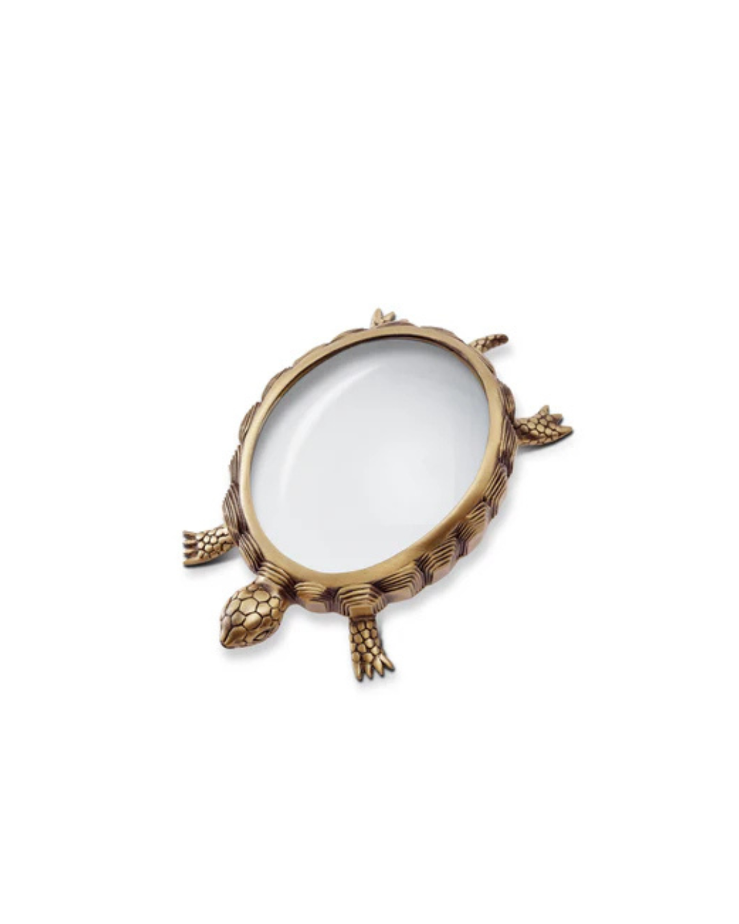 L'Objet Turtle Magnifying Glass