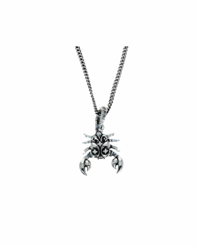 Scorpion Pendant fine curb link chain 24