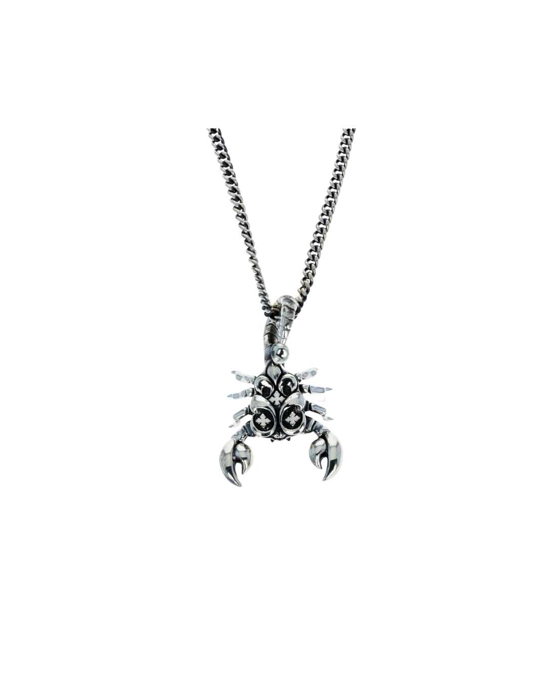Scorpion Pendant fine curb link chain 24