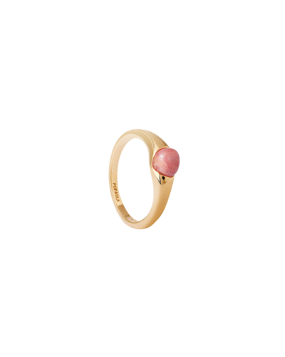 PDPAOLA Orion Ring