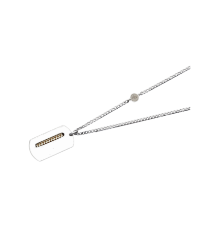 Essence Plate Necklace in Silver and Gold