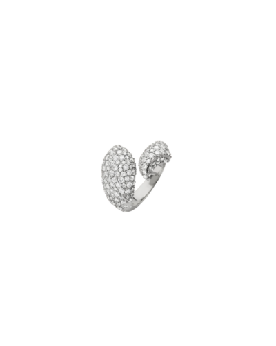 Perseverance Fish Ring
