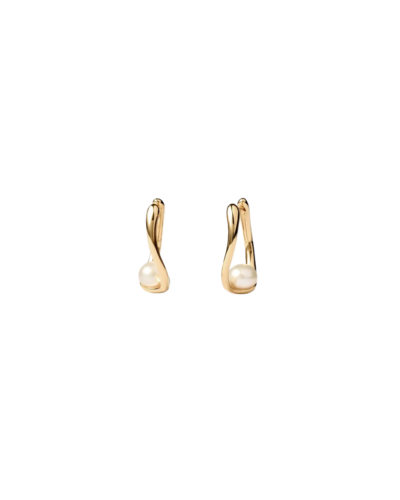 PDPAOLA Aura Hoop Earrings