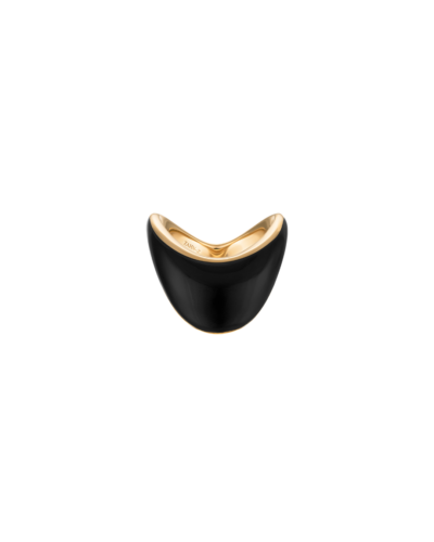 ZAHN-Z's 14KYG Big Zaha Ring with Onyx