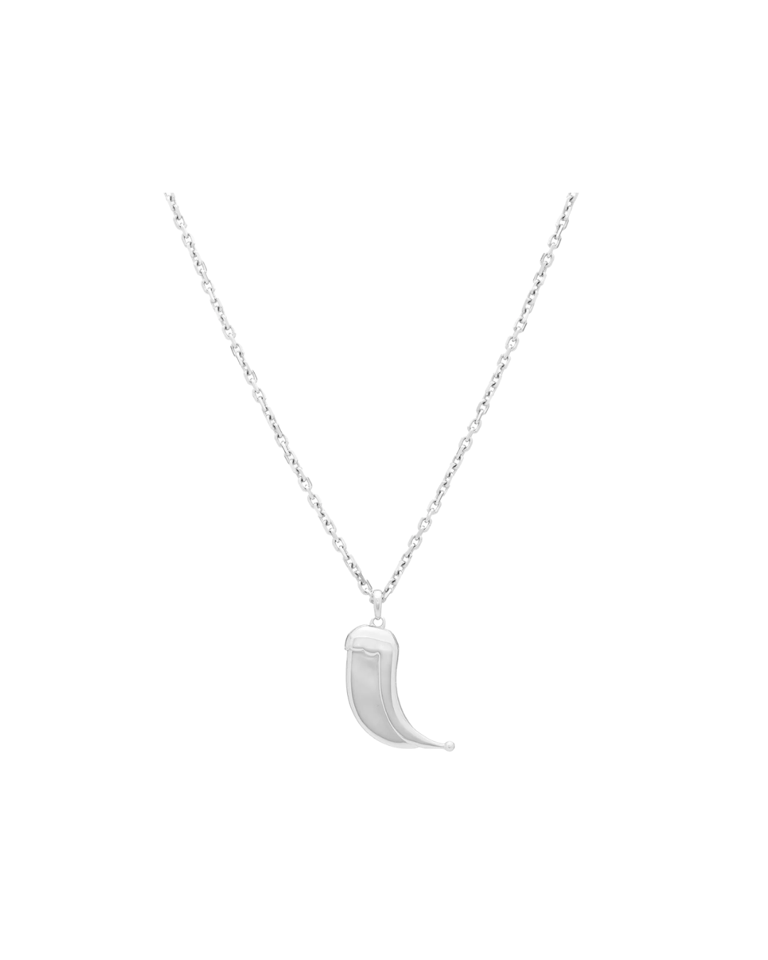 Wyld Box's Sterling Silver Dorian Horn Pendant